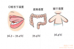 紅外線溫度計測哪最準？